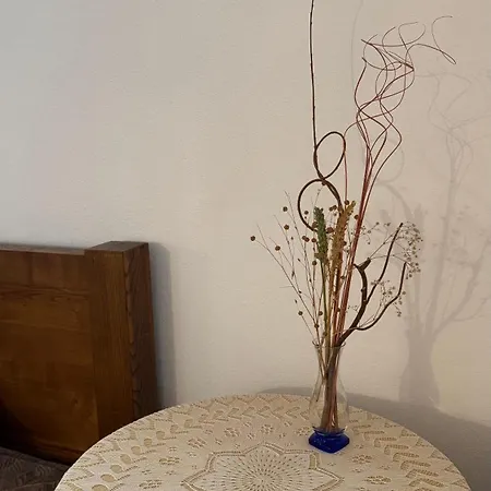 Tatil Evi Cominhos & Quartilhos Sortelha